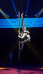 7è Festival Internacional del Circo Elefante de Oro 