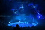 11è Festival Internacional del Circ Elefant d'Or de Girona Flyers Valencia - Doble roda de la mort - Colombia