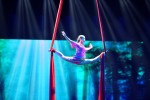 12º Festival Internacional del Circo Elefante de Oro de Girona Lan Mi by Nanchong Acrobatic Troupe of China · Teles aèries · Xina