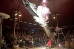 Trapezi, la Fira del Circ de Catalunya · 22a edició Dissabte 12 · David Dimitri