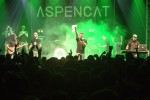 27 Mercat de Música Viva de Vic Aspencat 17.09.15