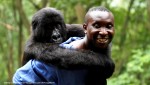 DOCSBARCELONA 2015 Virunga